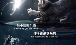 那是我们都回不去的从前