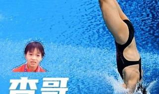 全红婵女子10米台跳水夺冠