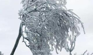你在南方的艳阳里大雪纷飞